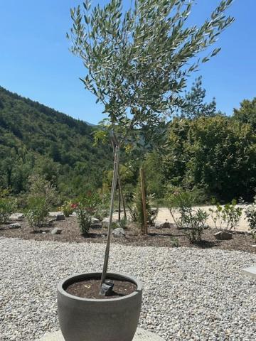 Gites Les Rochers De Plaisians Kültér fotó